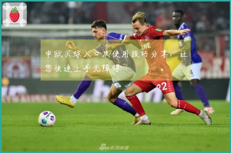 中欧买球入口及使用技巧分享，让您快速上手无障碍