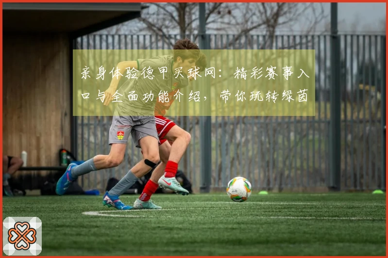 亲身体验德甲买球网：精彩赛事入口与全面功能介绍，带你玩转绿茵盛宴